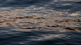 Canandaigua Lake Water Ripples at sunset