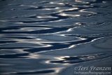 Glacier Bay Water Ripples