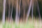Long lens motion blur