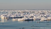 Ice Floes Littered the coastal waters of Lake Ontario