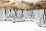 Icicles hung from the shingles