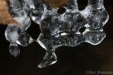 Nature's Ice Sculpture