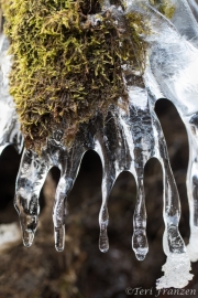 Intriguing Natural Ice Sculpture
