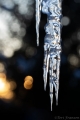 Winder Icicles