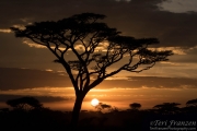 Ndutu Sunset