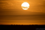 Sunrise over the Ngorongoro Rim
