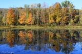 Autumn at Brick Pond