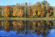Autumn at Brick Pond