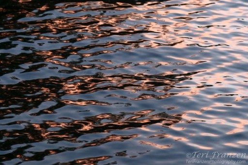 Canandaigua Lake Water Ripples at sunset