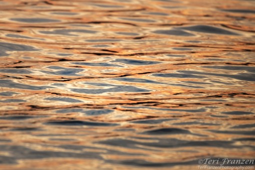 Canandaigua Lake Water Ripples at sunset