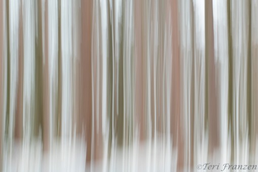 Tree blur