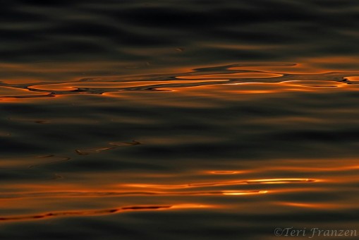 Sunset Reflections - B14I0184