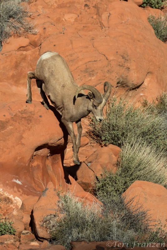 Climbing Down